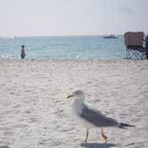Review photo of Fort De Soto Campground by Elliott B., May 31, 2017