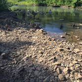 Review photo of Devil's Den State Park Campground by Chad K., June 1, 2017