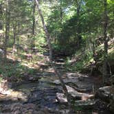 Review photo of Devil's Den State Park Campground by Chad K., June 1, 2017