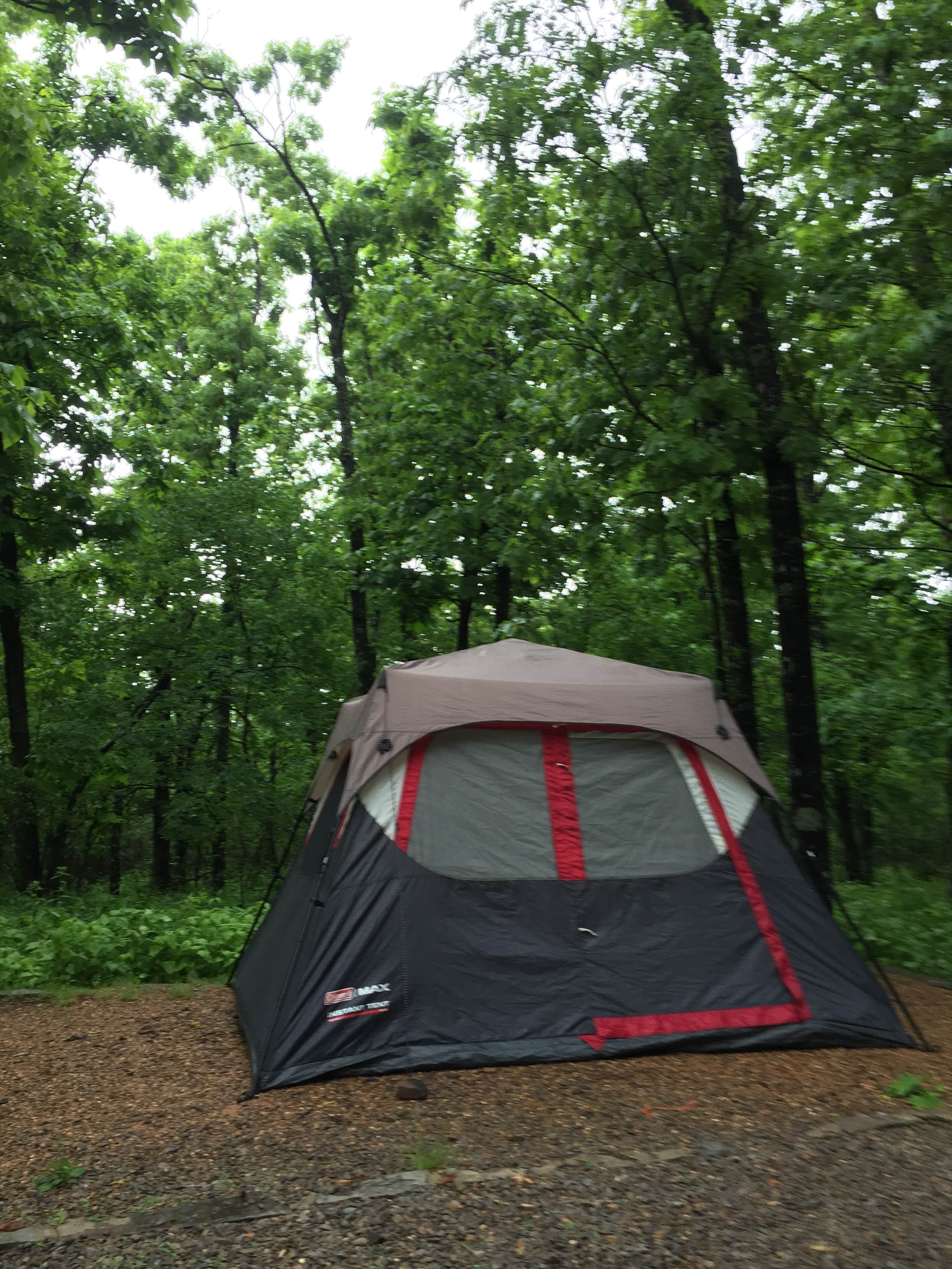 Chad K.'s photo at Devil's Den State Park Campground near John Paul Hammerschmidt Lake