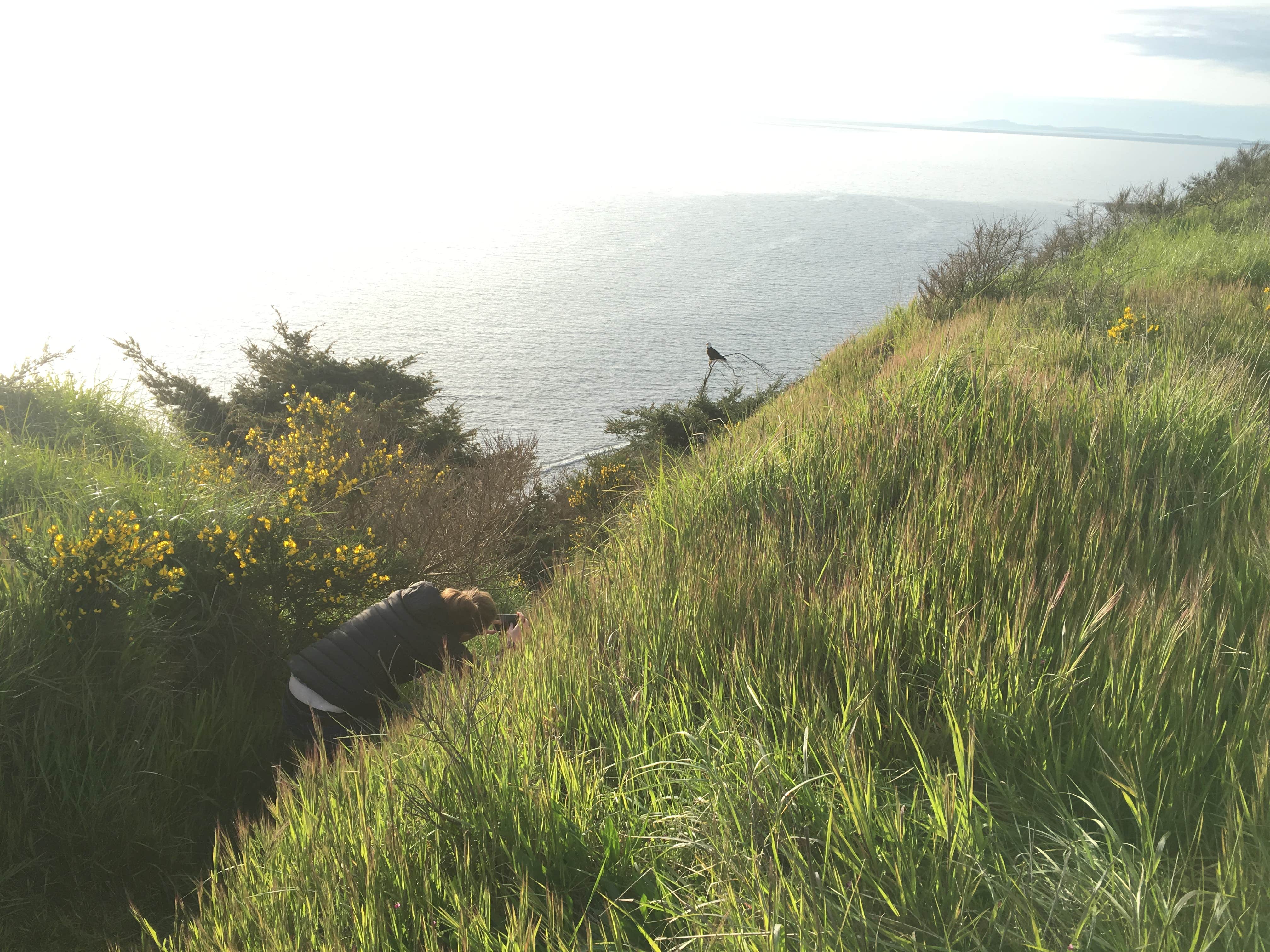 Camper submitted image from Fort Ebey State Park Campground - 2