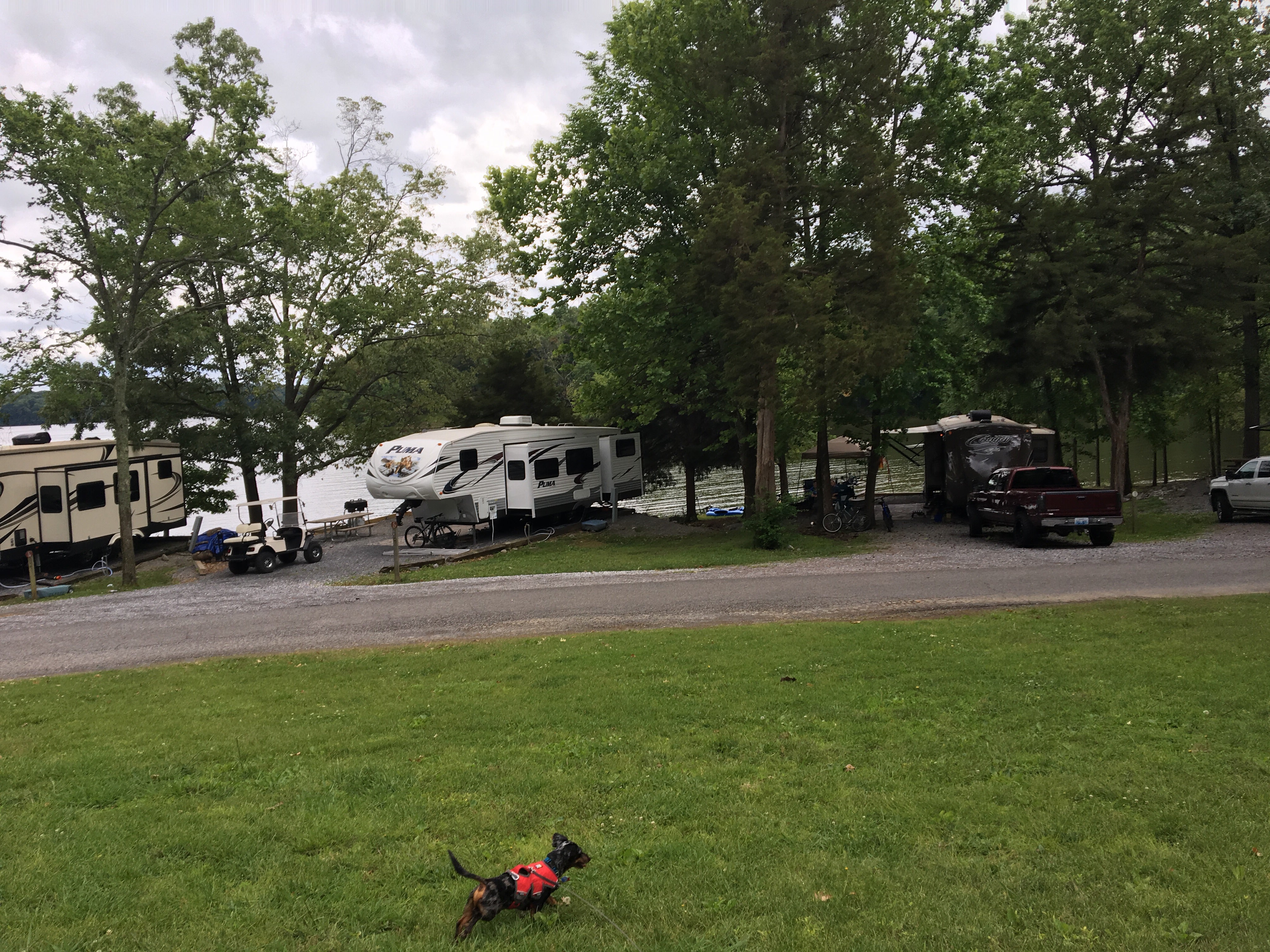 Camper submitted image from Hillman Ferry Campground - 3
