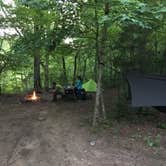 Review photo of Sutton Bluff Recreation Area by Alexa S., June 19, 2016
