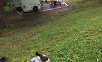 Shelly S.'s photo of camping with pets at Hillman Ferry Campground near Paducah, KY