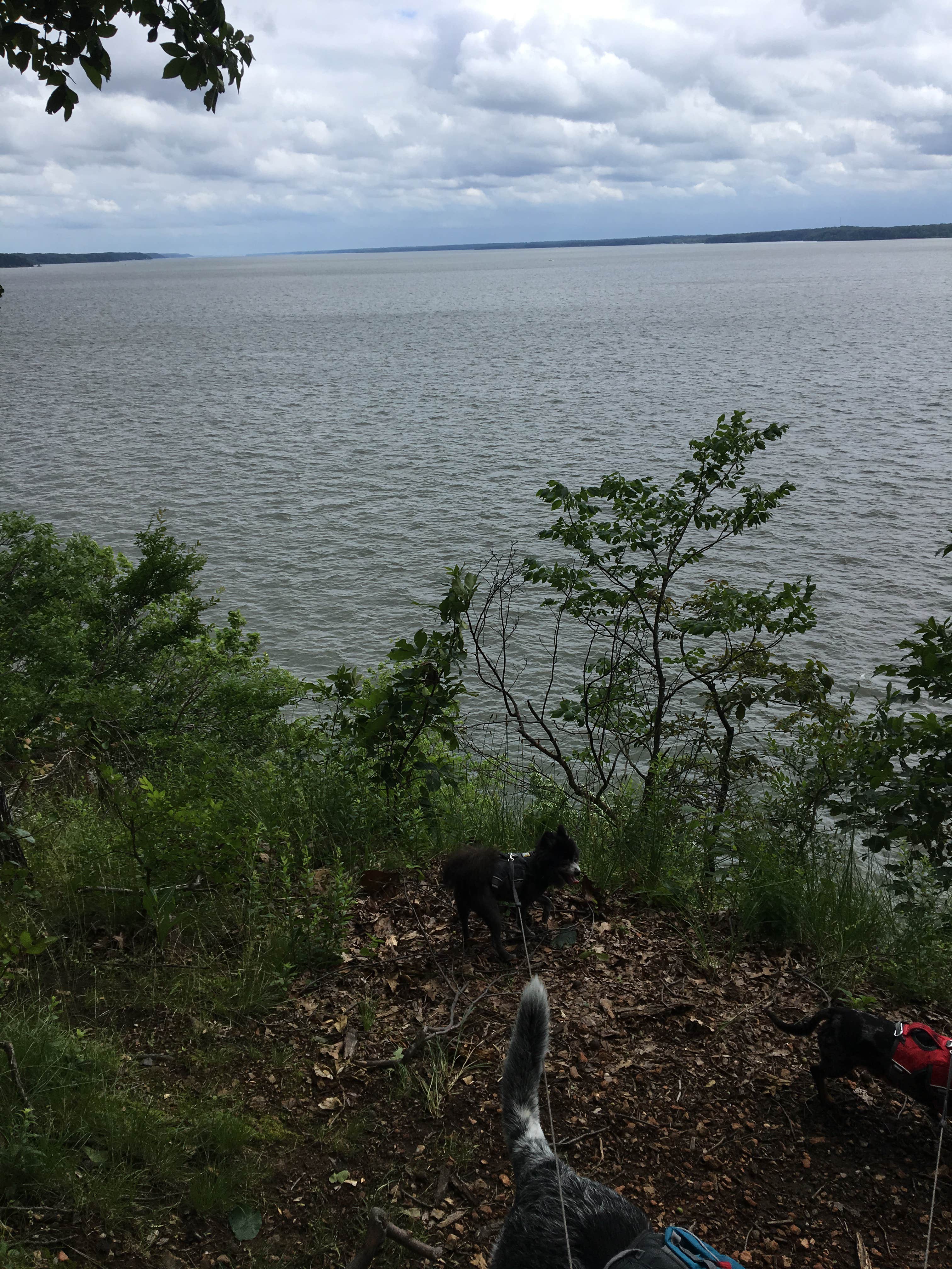 Camper-submitted photo at Hillman Ferry Campground in Kentucky