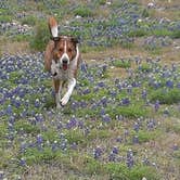 Review photo of Grelle - Lake Travis by Jennifer J., June 19, 2016