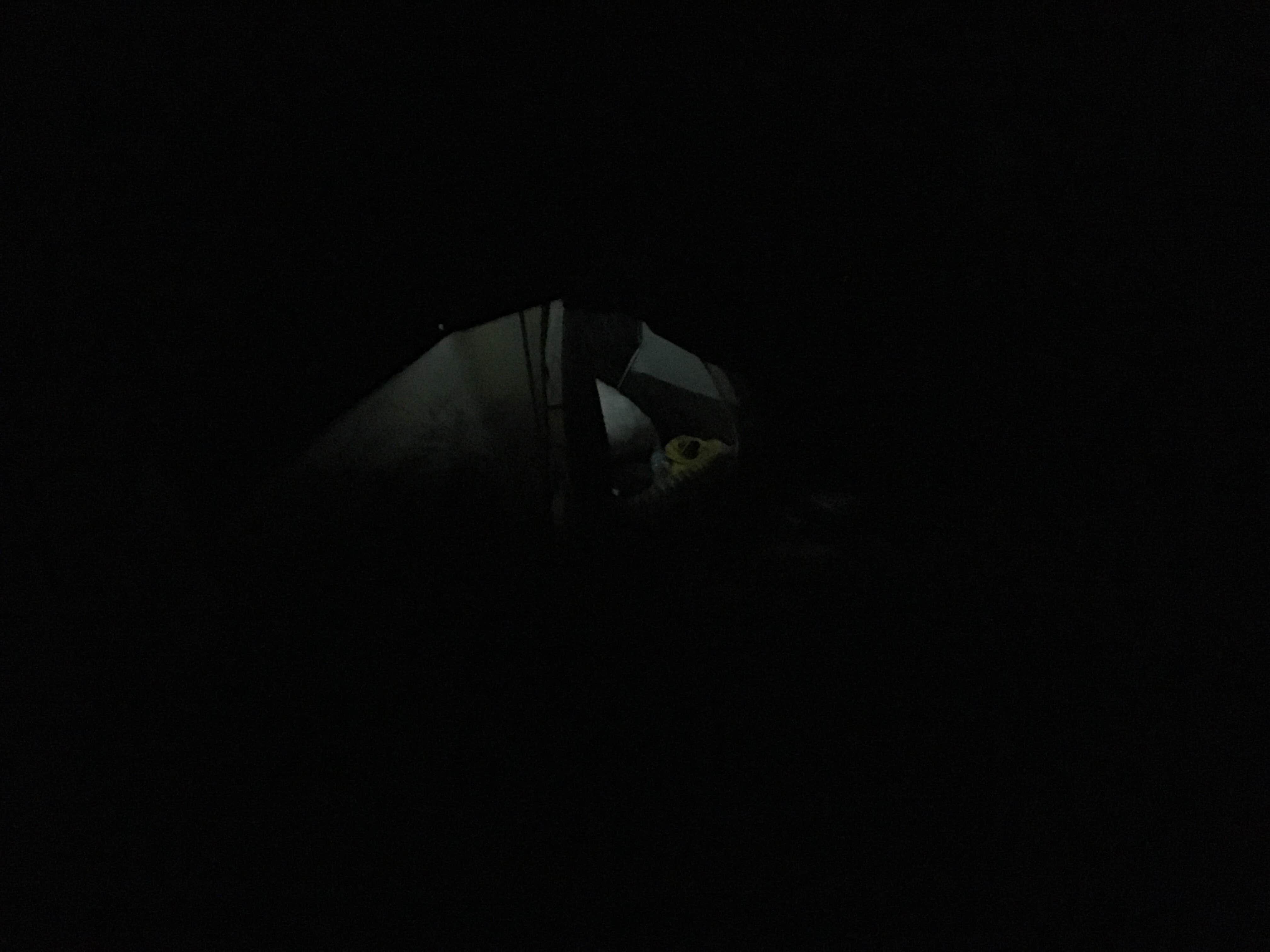 Camper-submitted photo at Pisgah Bay - DFWR near Grand Rivers, KY