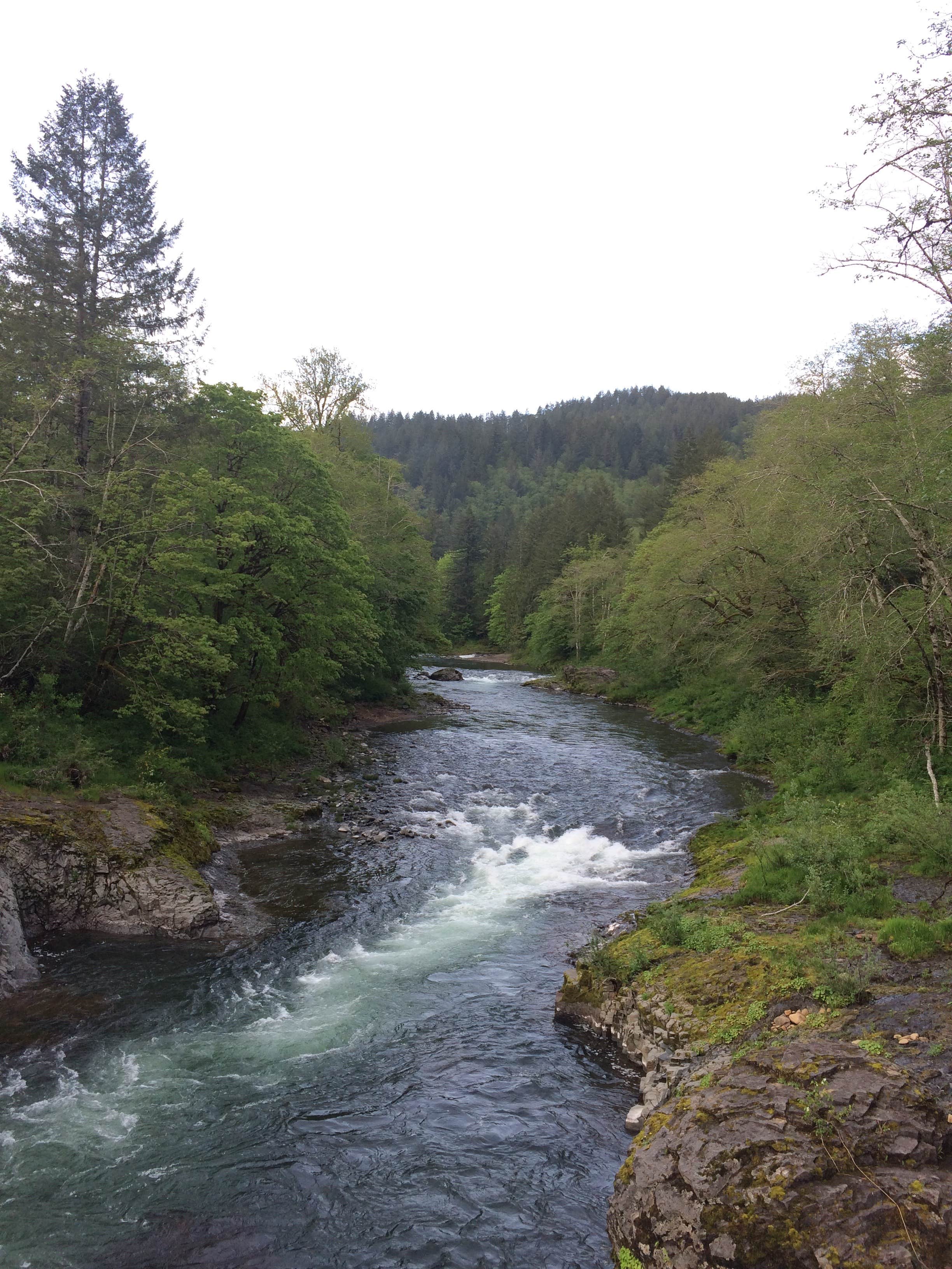 Camper submitted image from Keenig Creek Campground - 3