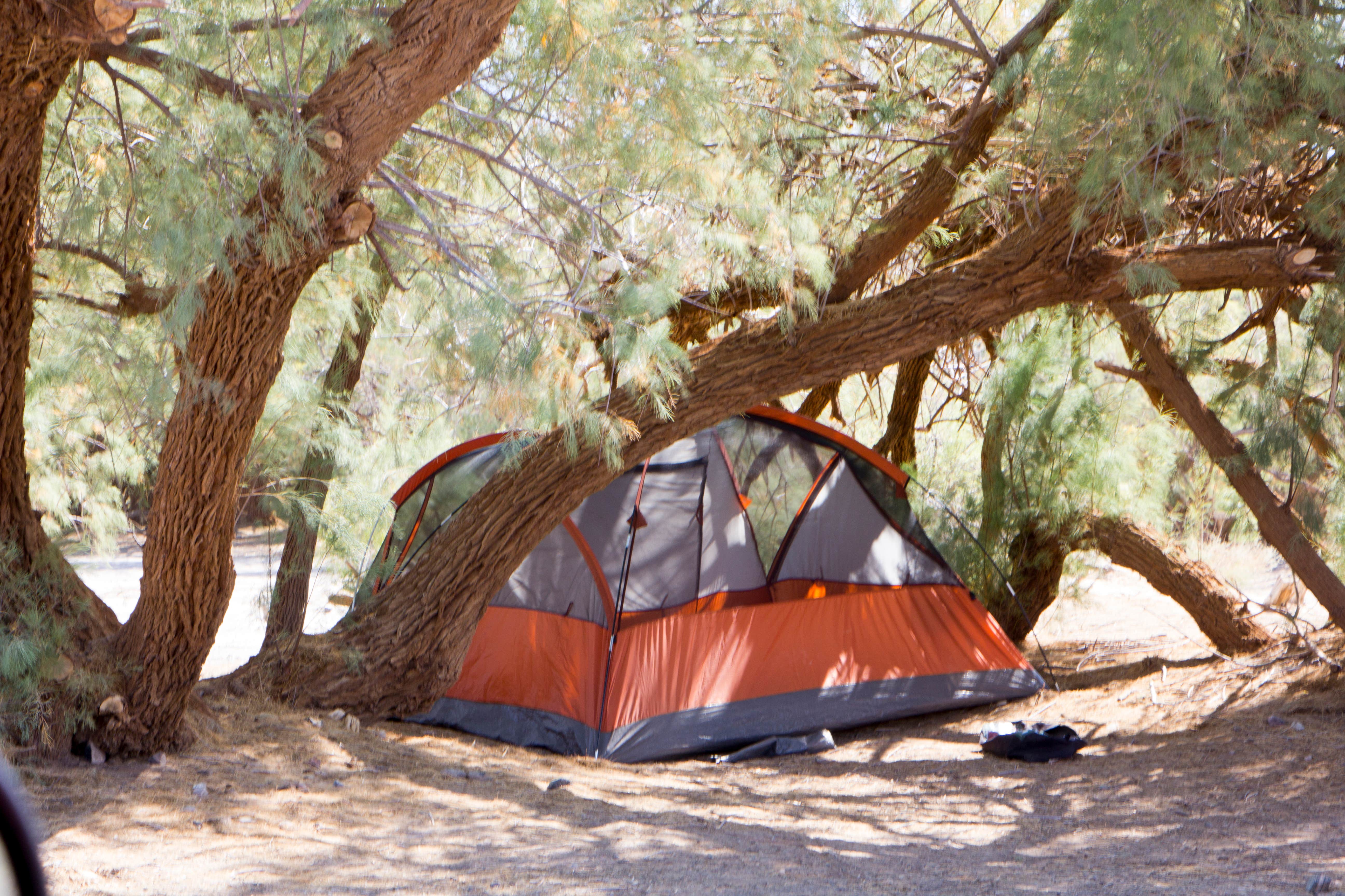 Jen G.'s photo at Furnace Creek Campground — Death Valley National Park near Death Valley National Park