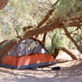 Review photo of Furnace Creek Campground — Death Valley National Park by Jen G., June 1, 2017