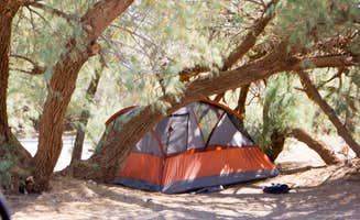 Jen G.'s photo at Furnace Creek Campground — Death Valley National Park near Death Valley National Park