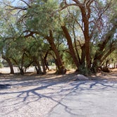 Review photo of Furnace Creek Campground — Death Valley National Park by Jen G., June 1, 2017