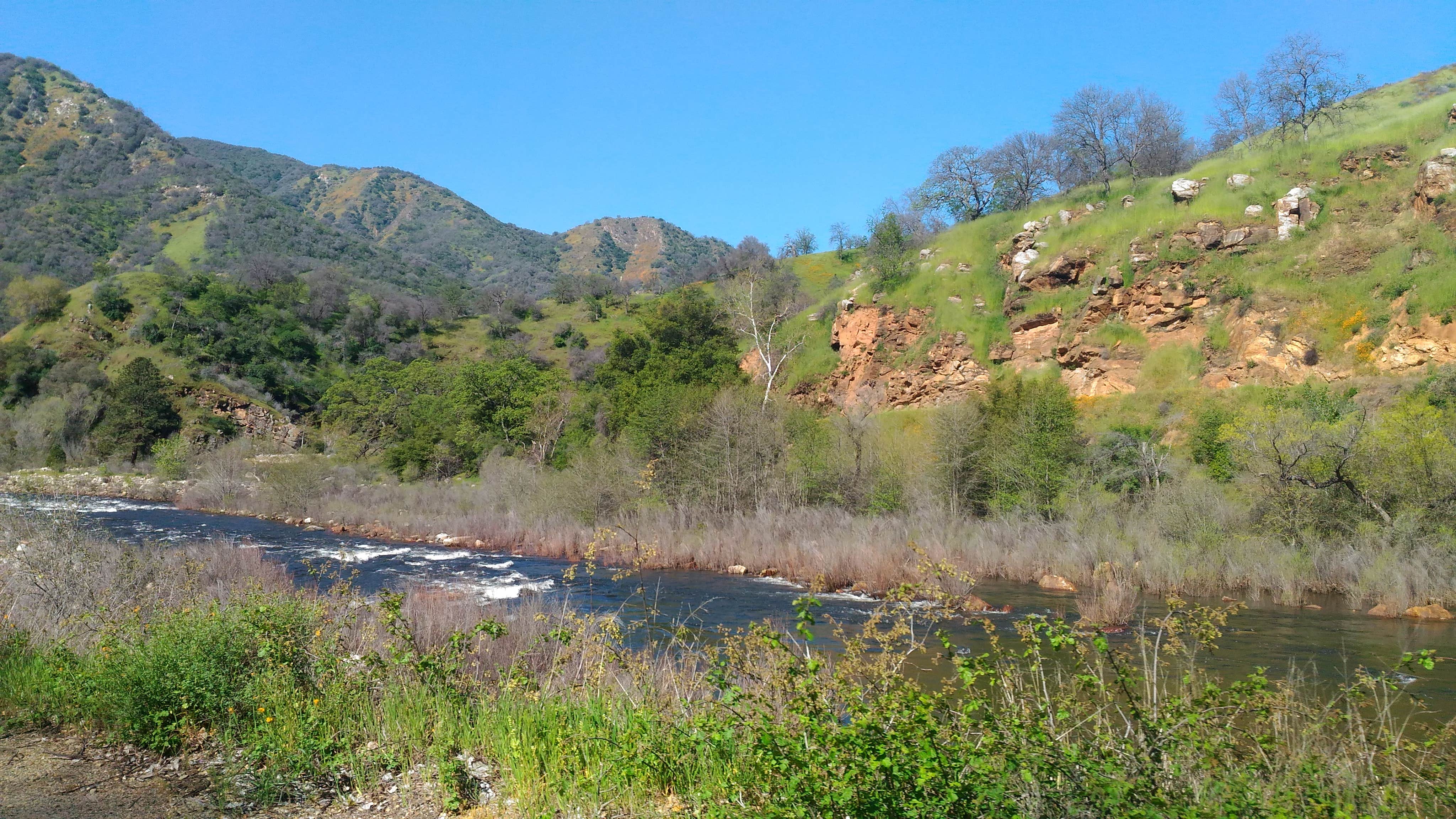 Camper submitted image from Mill Flat Campground - 2