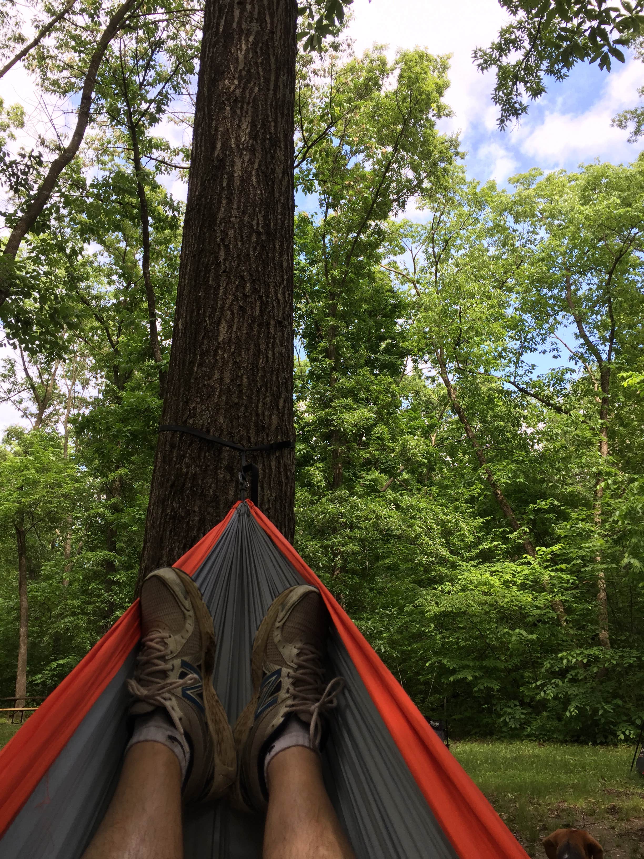 Camper submitted image from Watkins Mill State Park Campground - 3
