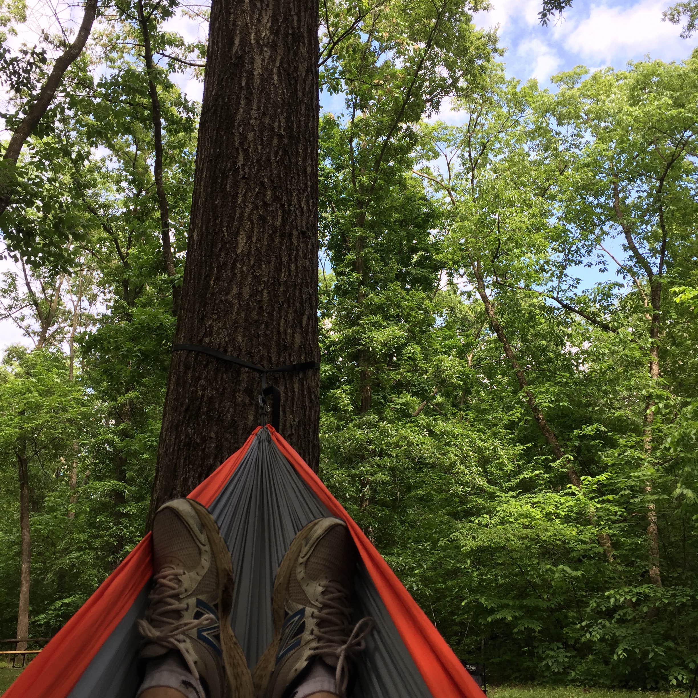 Escape to Missouri's Hidden Gem: Watkins Mill State Park