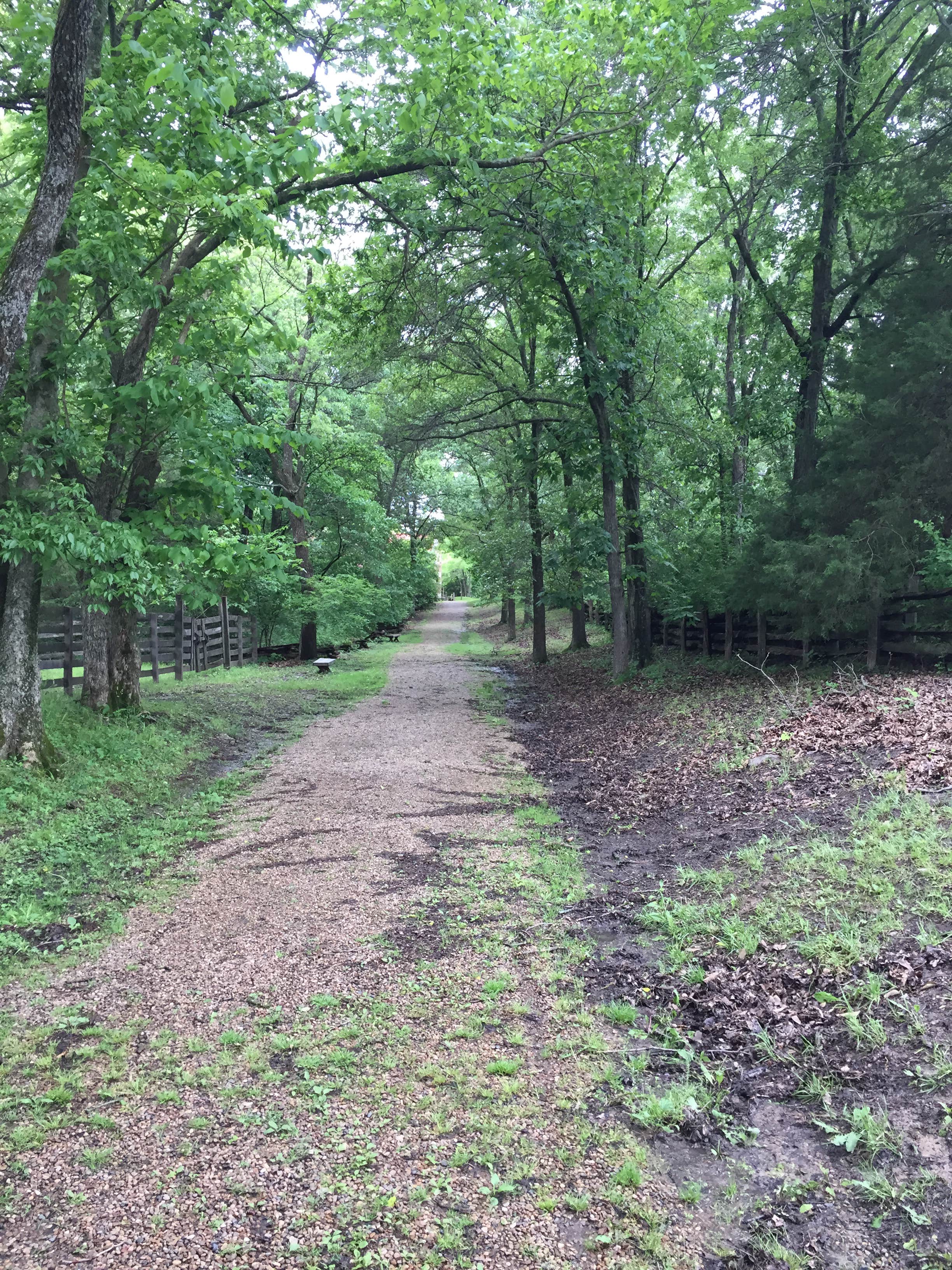 Camper submitted image from Watkins Mill State Park Campground - 4