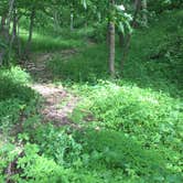 Review photo of Wallace State Park Campground by Chad K., June 1, 2017