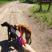 Review photo of Thain Creek by Donna S., June 19, 2016