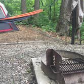 Review photo of Wallace State Park Campground by Chad K., June 1, 2017