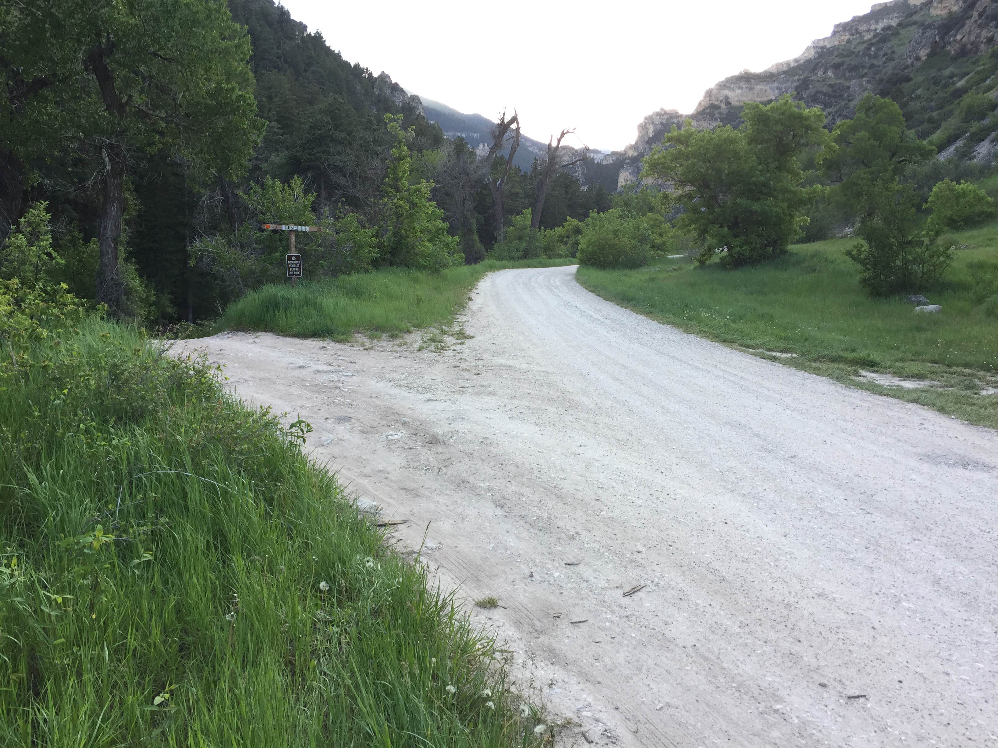 Camper-submitted photo at Tongue River Campground near Wolf, WY