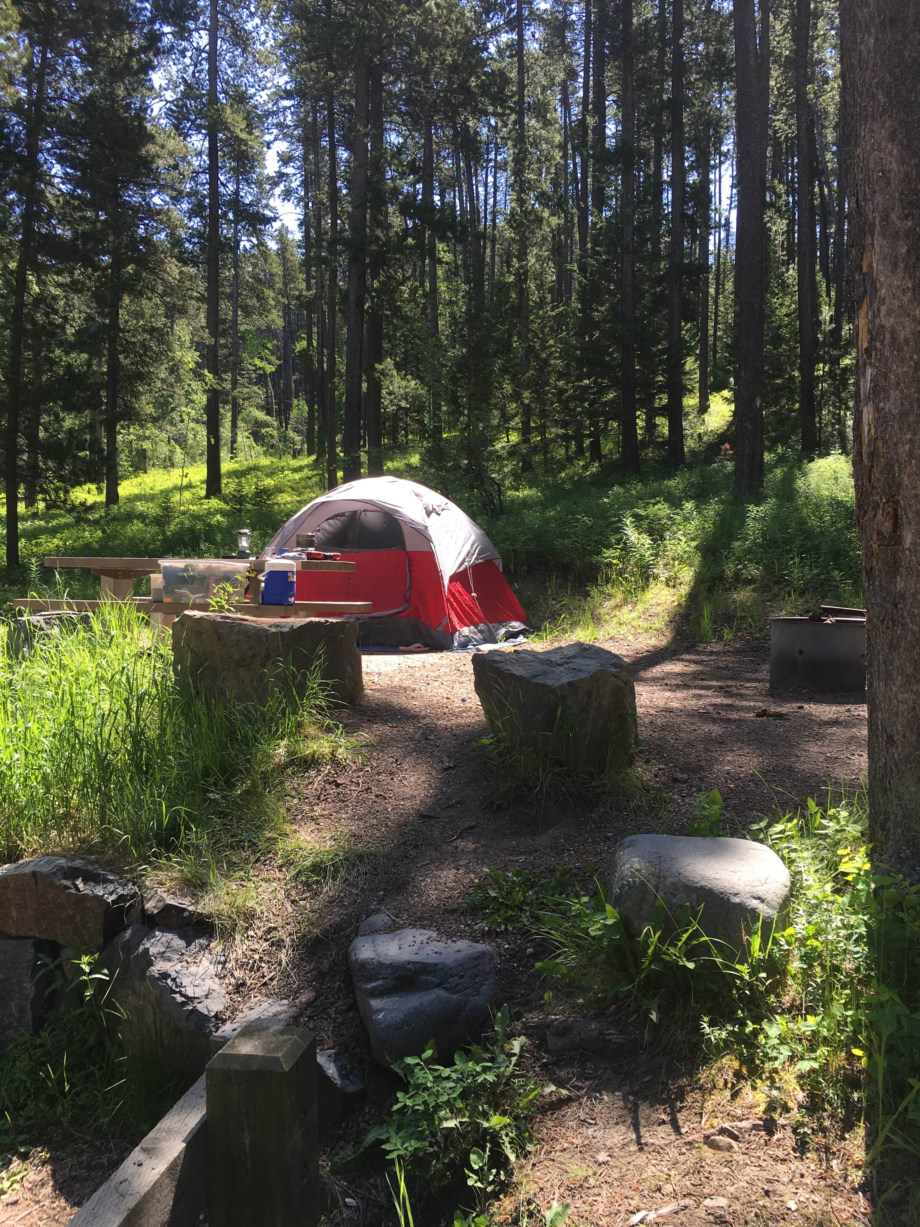 Camper submitted image from Thain Creek - 4