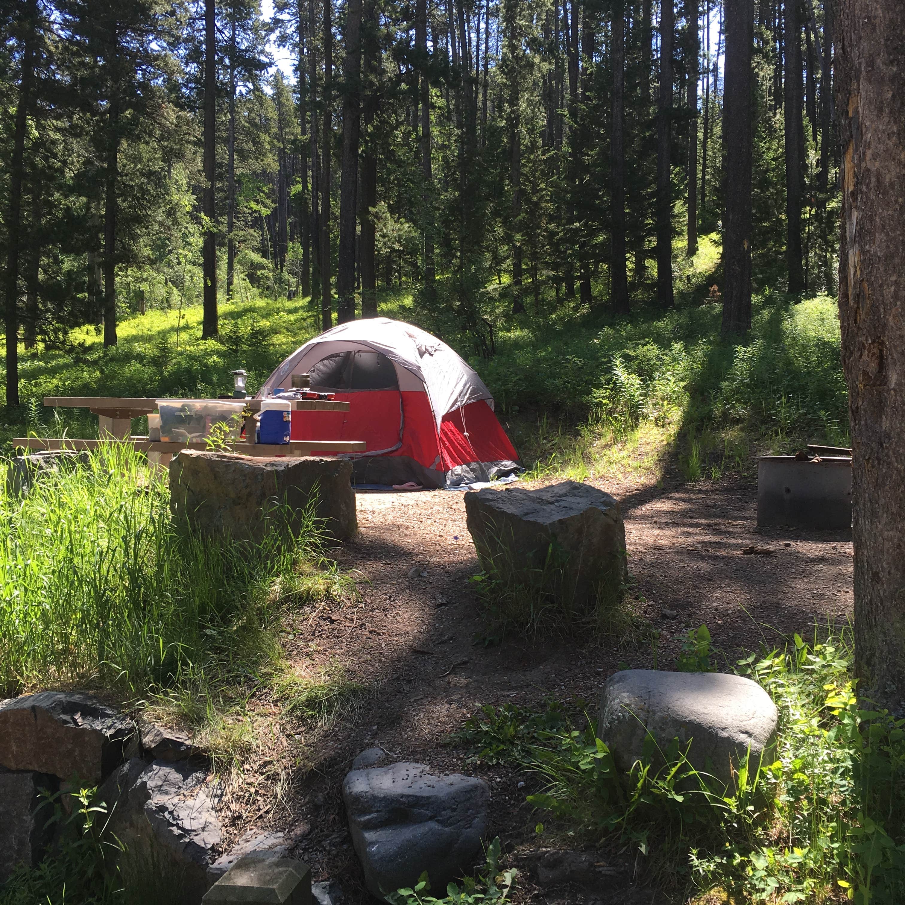 Escape to Montana's Wild Side: Thain Creek Campground, Your Gateway to Adventure