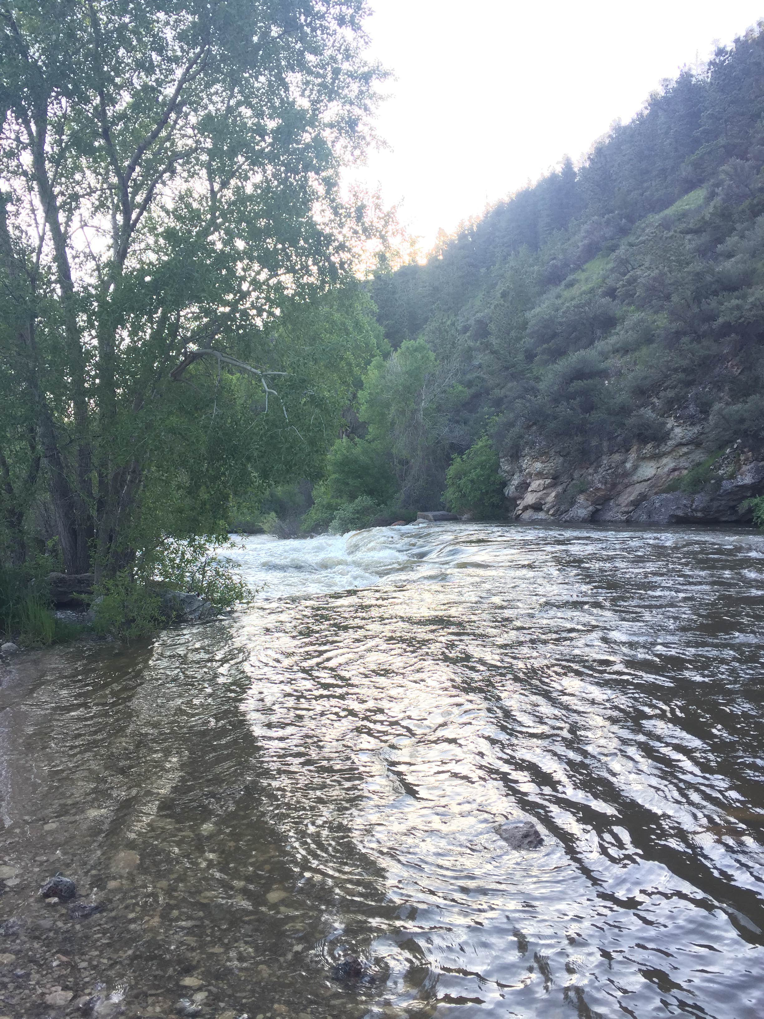Camper submitted image from Tongue River Campground - 5