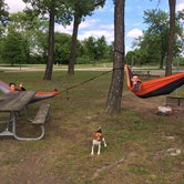 Review photo of Wakonda State Park Campground by Chad K., June 1, 2017