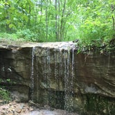 Review photo of Graham Cave State Park by Chad K., June 1, 2017