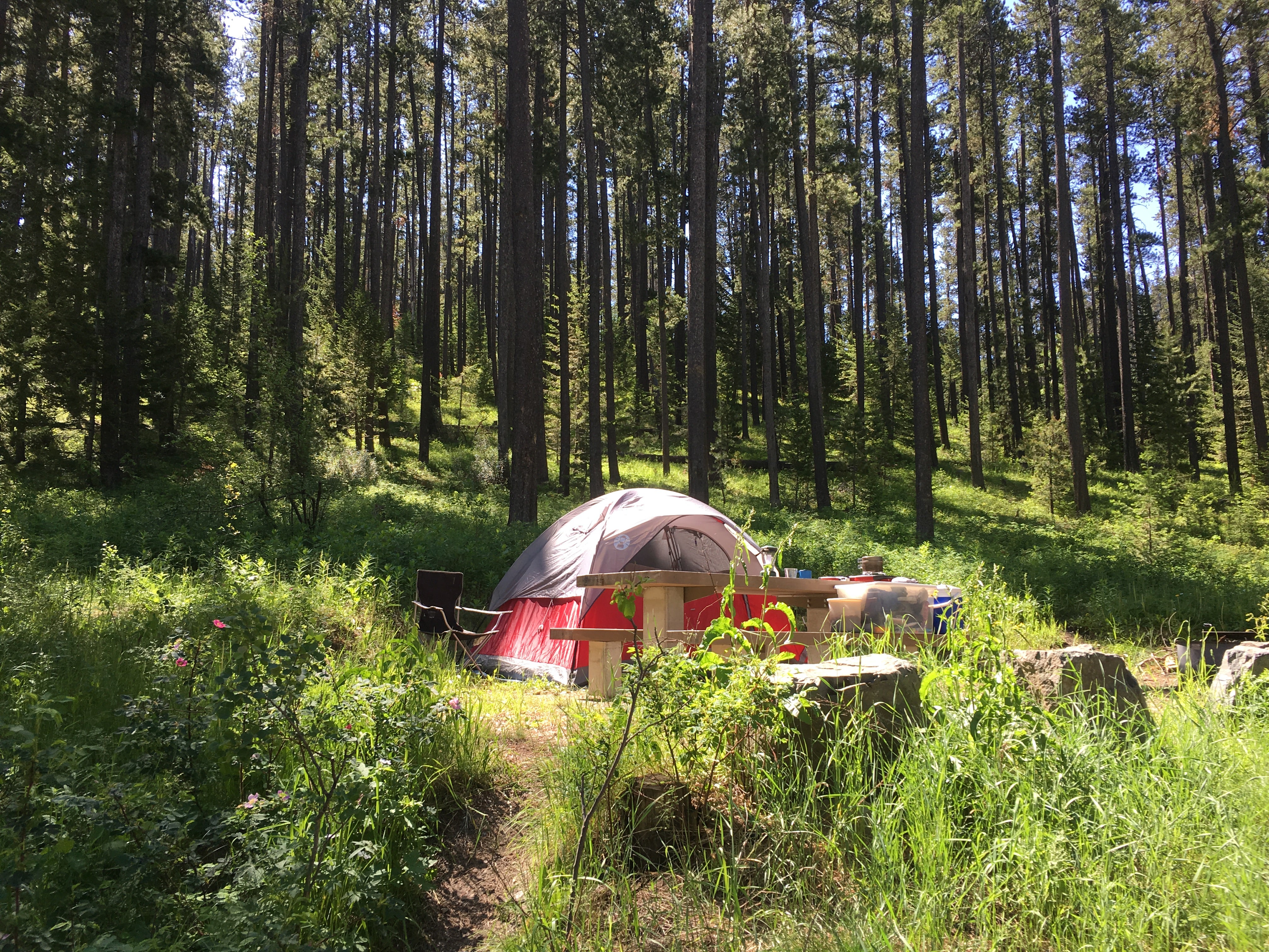 Camper submitted image from Thain Creek - 2