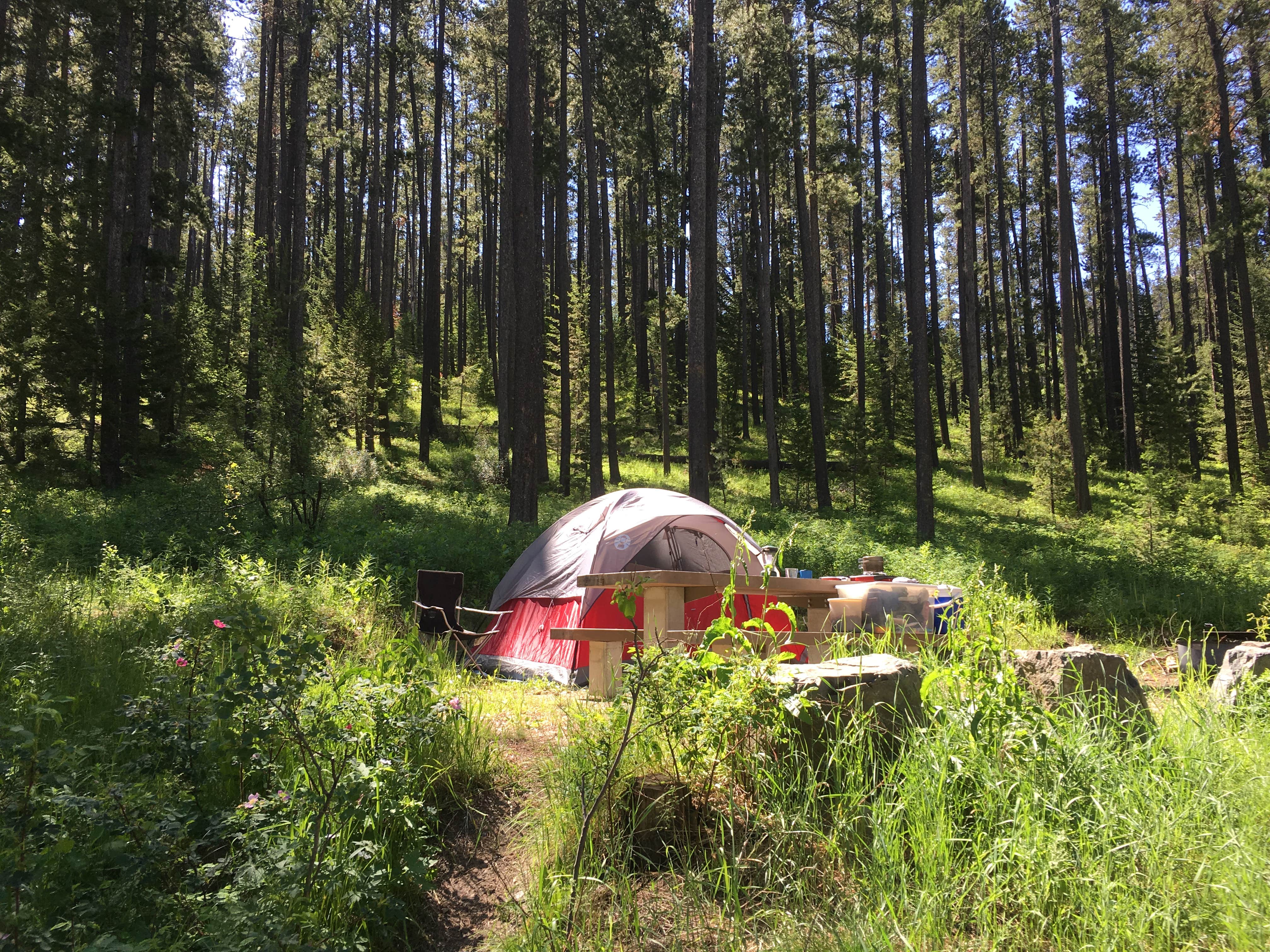 Escape To Montana’s Wild Side: Thain Creek Campground, Your Gateway To Adventure