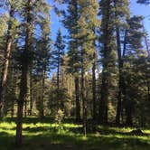 Review photo of Clear Creek Campground (Nm) — Santa Fe National Forest by Nicole P., June 1, 2017