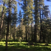 Review photo of Clear Creek Campground by Nicole P., June 1, 2017