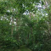 Review photo of Hidden Hollow Campground — Fernwood State Forest by Emily S., June 1, 2017