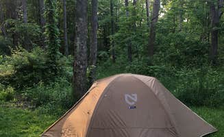 Emily S.'s photo at Hidden Hollow Campground — Fernwood State Forest near Wind Ridge, PA