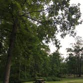 Review photo of Hidden Hollow Campground — Fernwood State Forest by Emily S., June 1, 2017