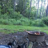 Review photo of Hidden Hollow Campground — Fernwood State Forest by Emily S., June 1, 2017