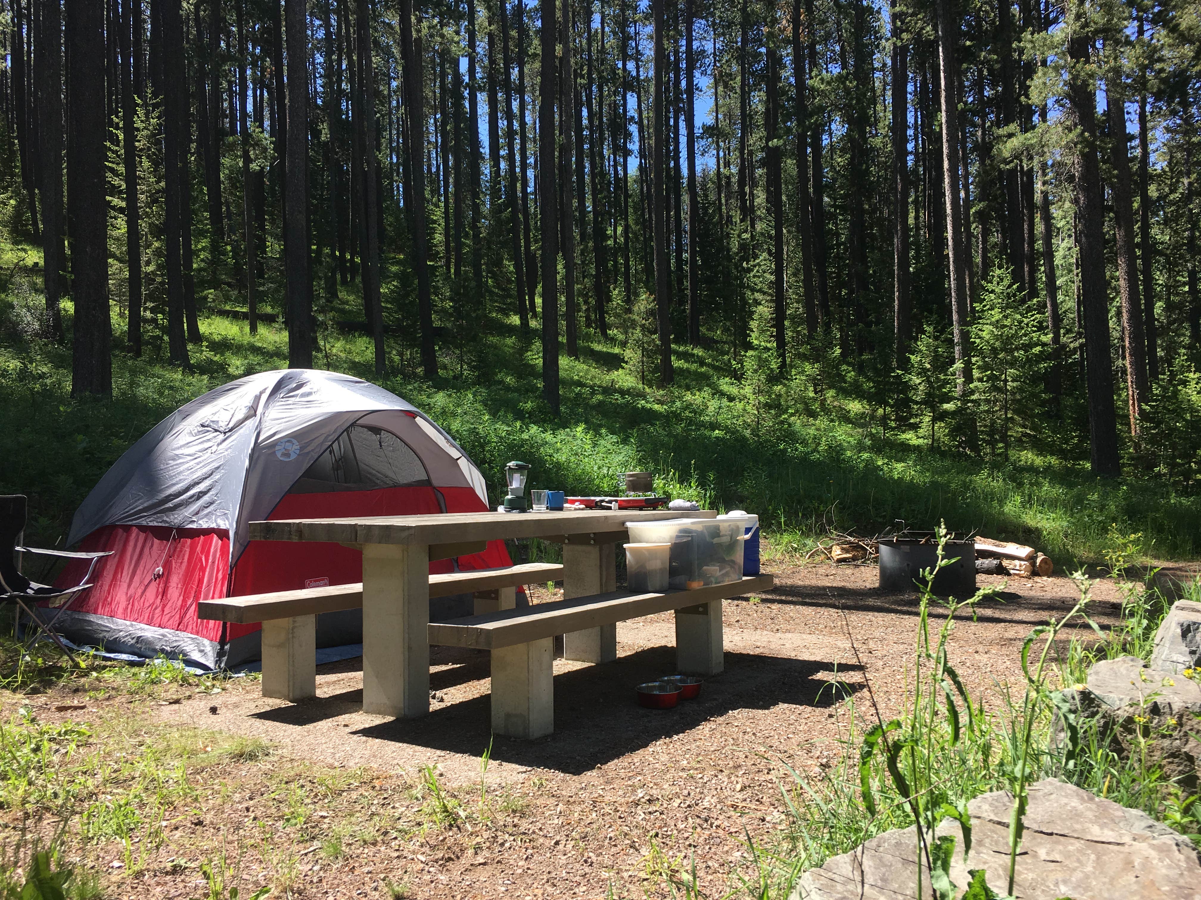 Donna S.'s photo at Thain Creek near Monarch, MT