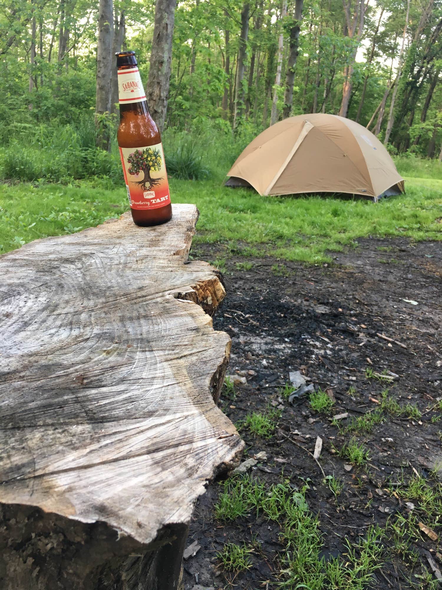 Camper-submitted photo at Hidden Hollow Campground — Fernwood State Forest near Weirton, WV