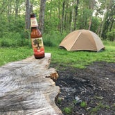 Review photo of Hidden Hollow Campground — Fernwood State Forest by Emily S., June 1, 2017