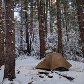 Review photo of Spruce Knob Lake Campground by Emily S., June 1, 2017