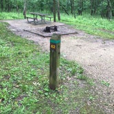 Review photo of Long Branch State Park Campground by Chad K., June 2, 2017