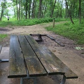 Review photo of Long Branch State Park Campground by Chad K., June 2, 2017
