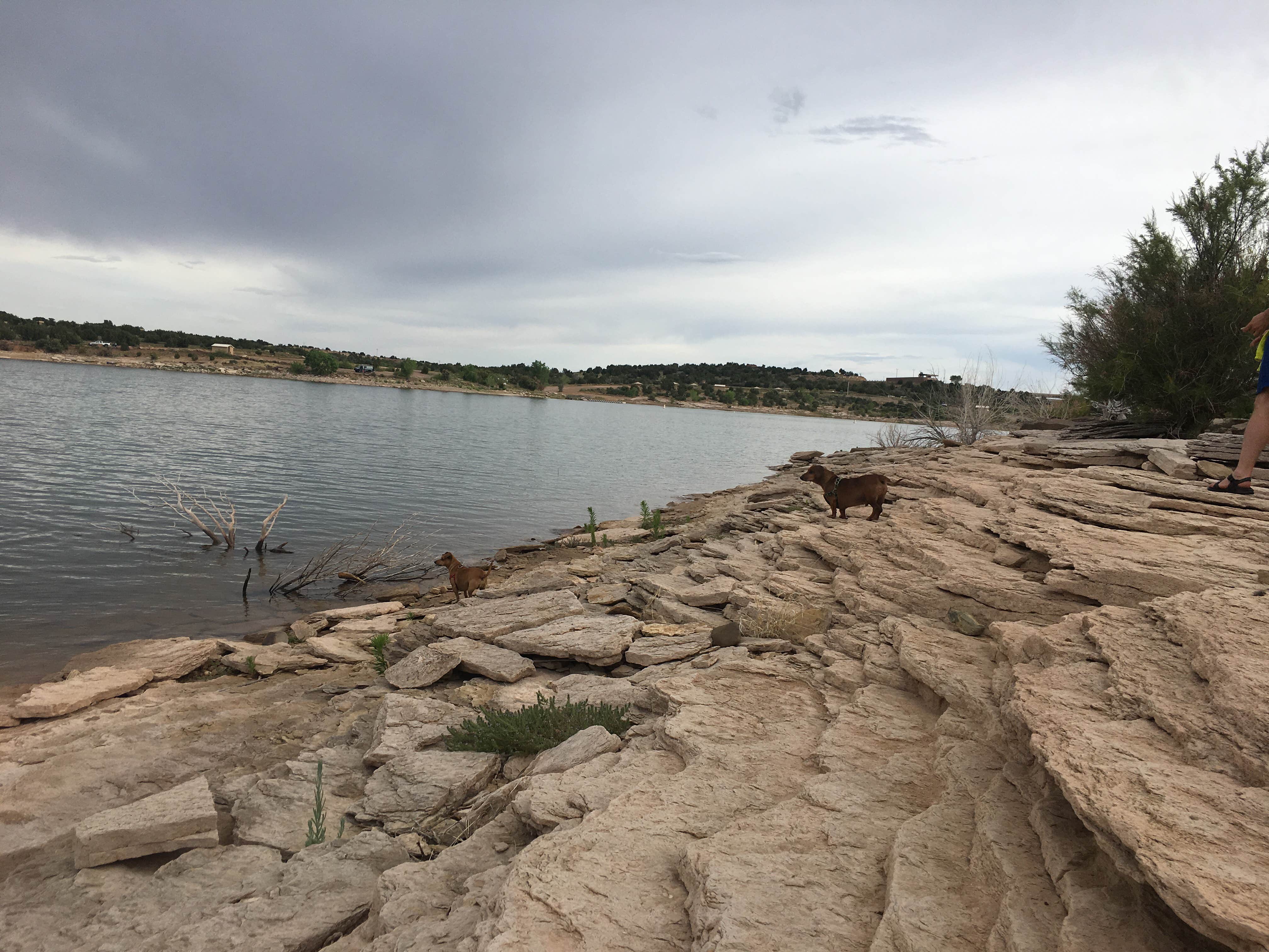 Camper-submitted photo at Santa Rosa Campground & RV Park near Conchas Dam, NM