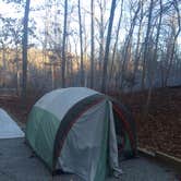 Review photo of Withrow Springs State Park Campground by Tom K., June 2, 2017