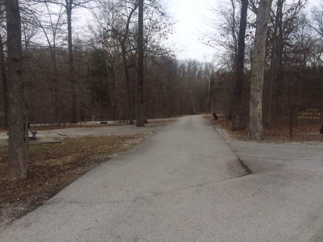 Camper submitted image from Withrow Springs State Park Campground - 5