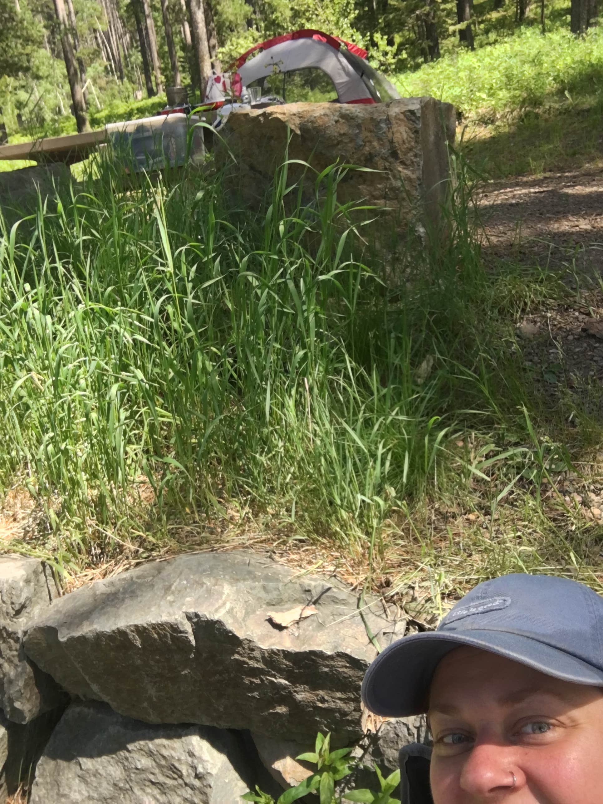 Donna S.'s photo at Thain Creek near Hobson, MT