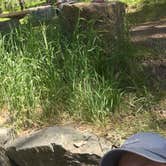 Review photo of Thain Creek by Donna S., June 19, 2016