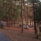 Review photo of Daisy State Park Campground by Tom K., June 2, 2017