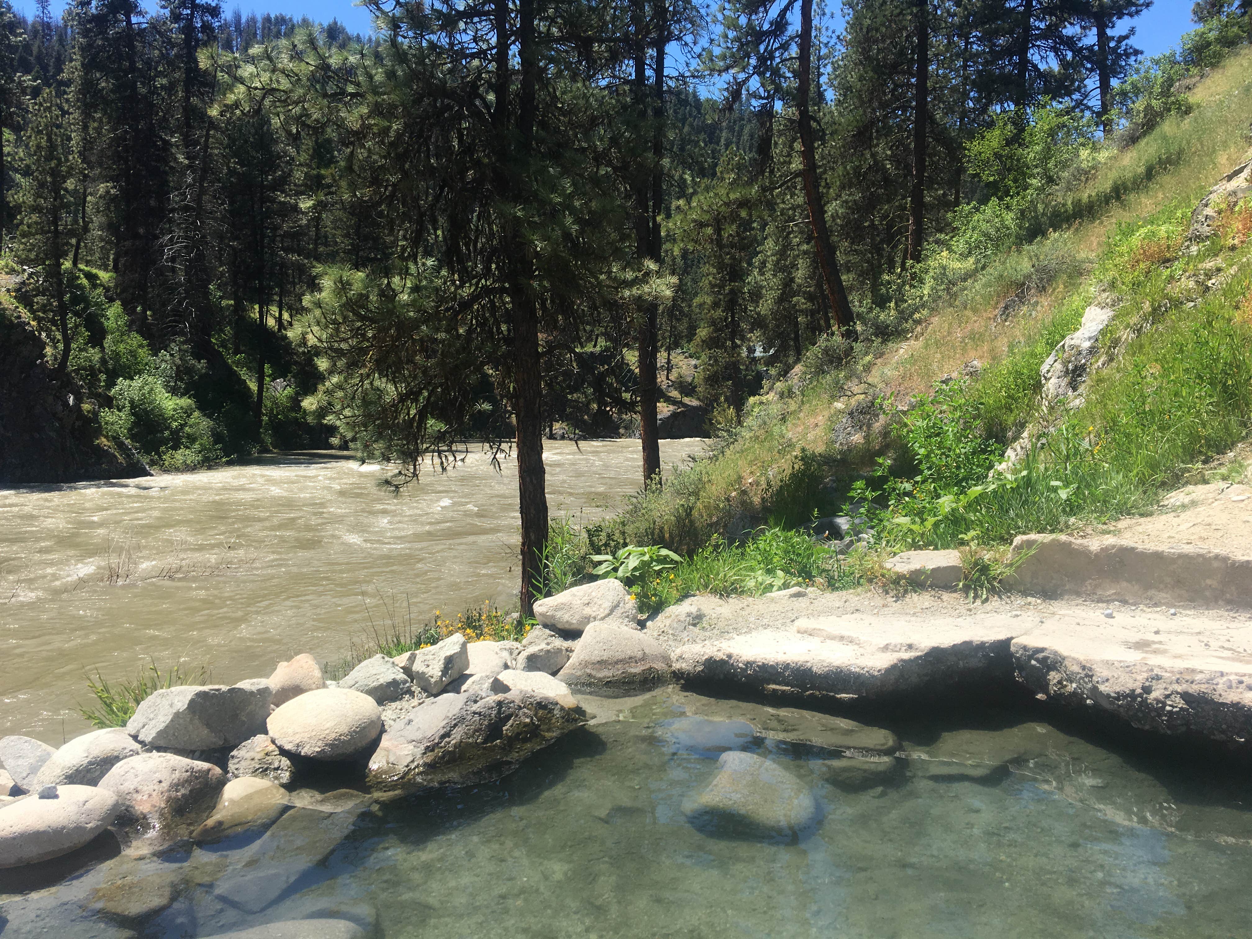 Camper submitted image from Hot Springs - 3